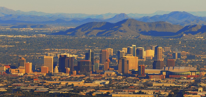 download gardening classic vegetables